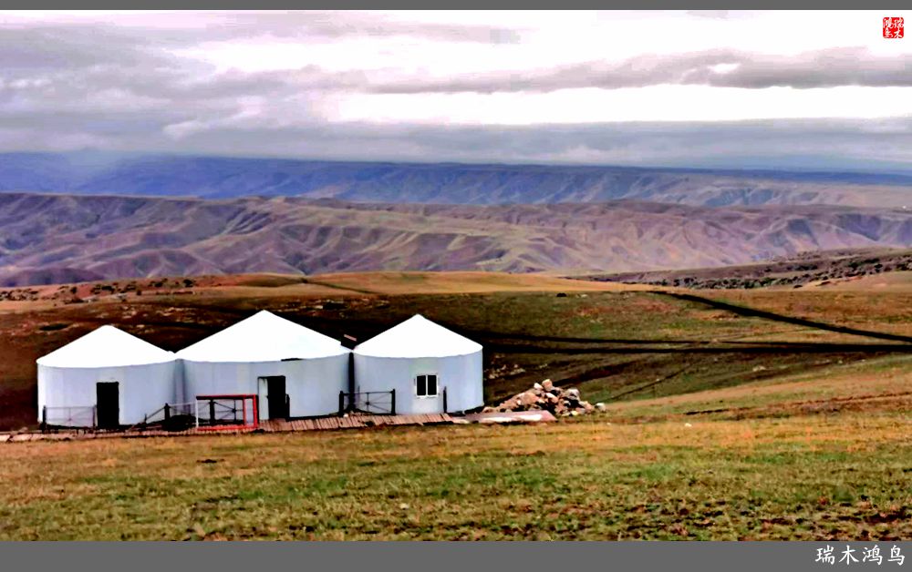 【魅力新疆行】22.登上喀拉峻大草原