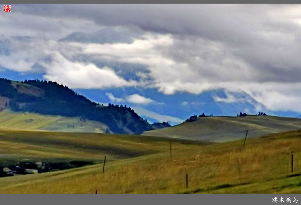 【魅力新疆行】22.登上喀拉峻大草原