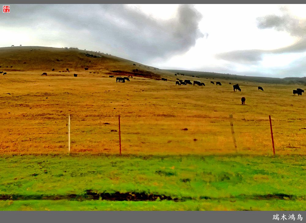 【魅力新疆行】22.登上喀拉峻大草原