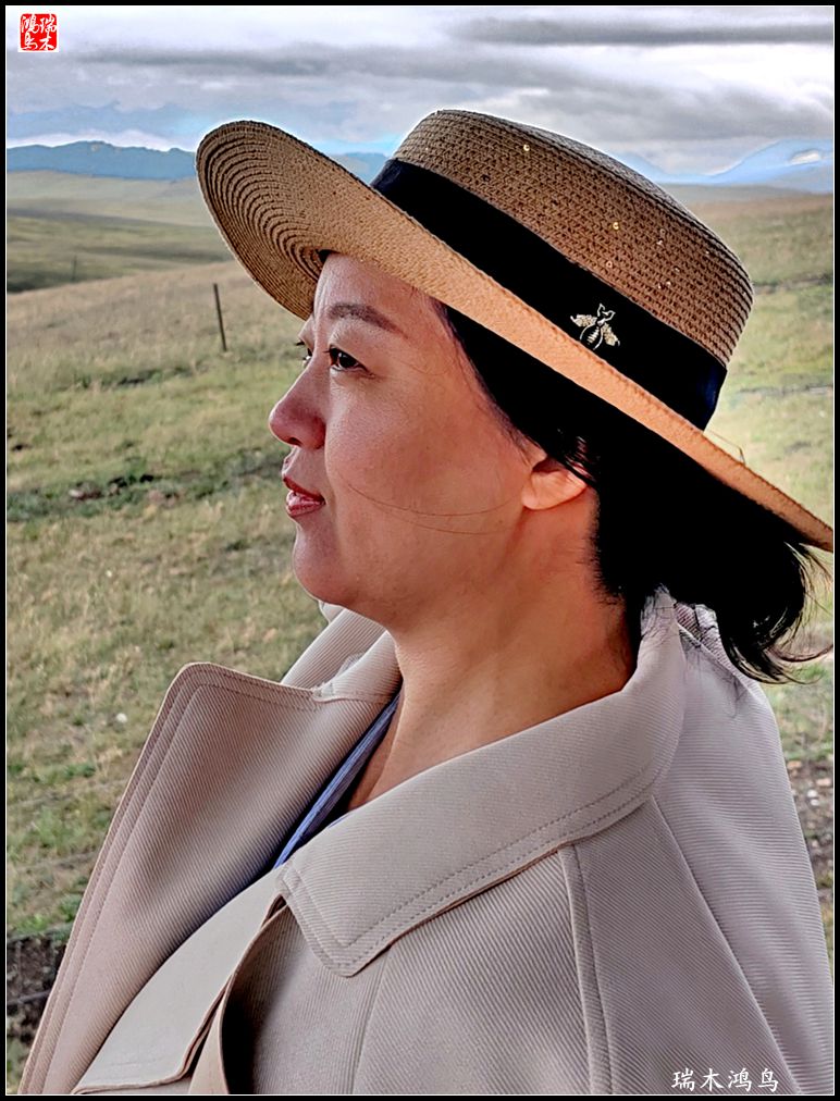 【魅力新疆行】22.登上喀拉峻大草原