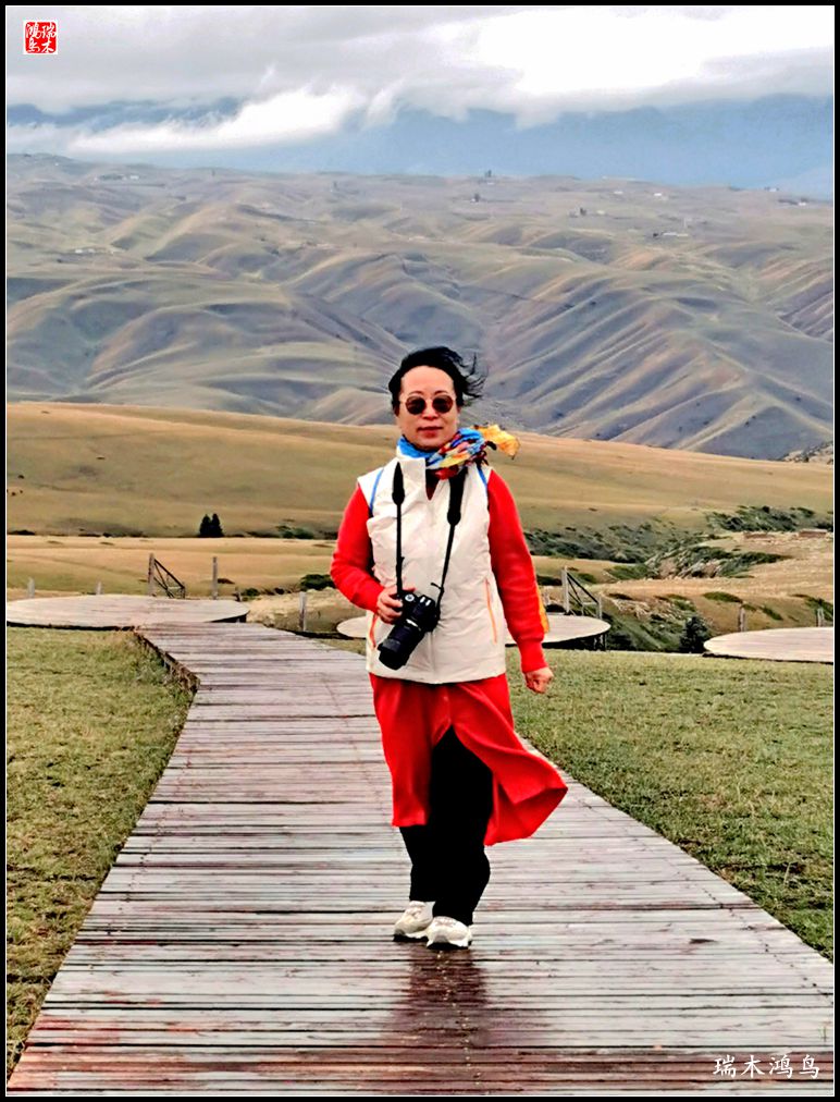 【魅力新疆行】22.登上喀拉峻大草原