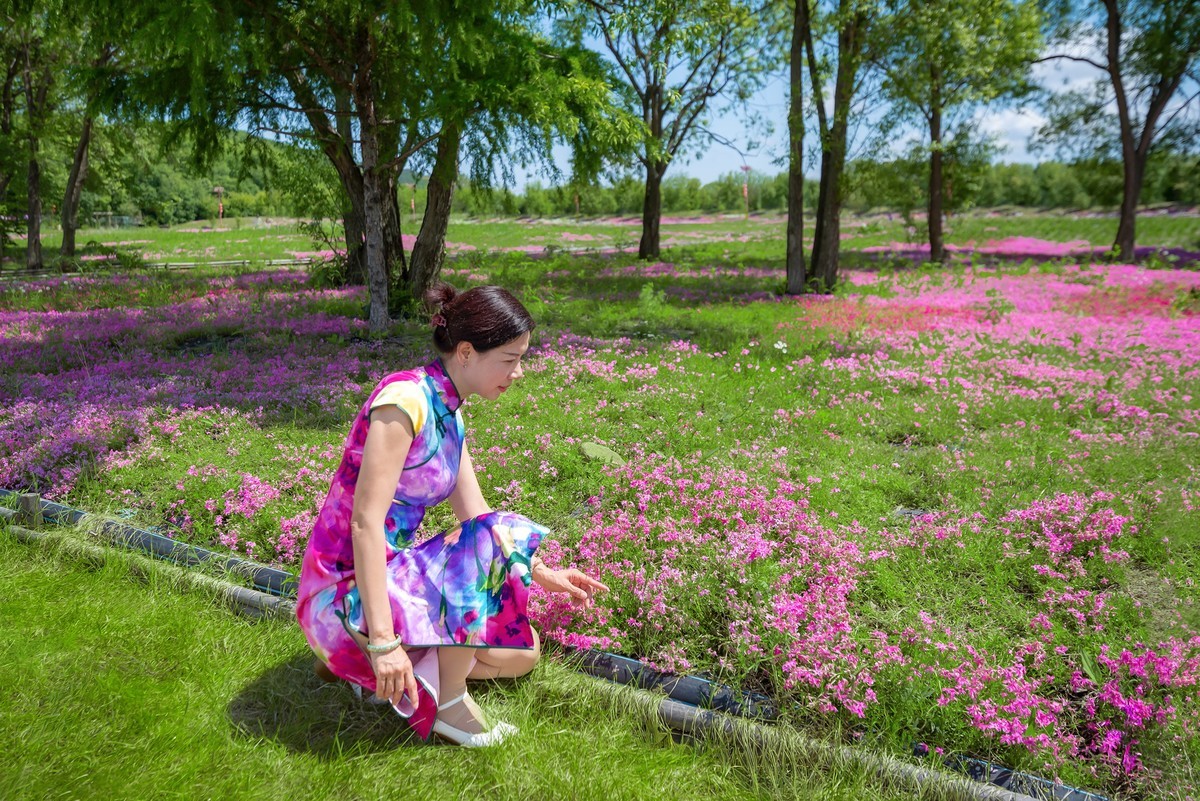 圣洁摇篮山人像