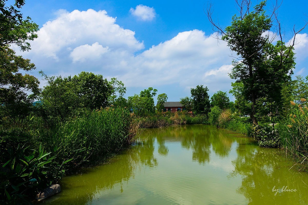 杭州富阳----阳陂湖（1）