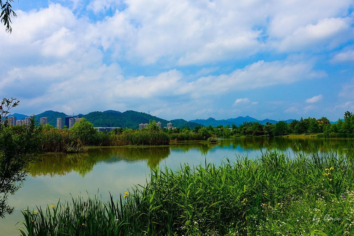 杭州富阳----阳陂湖（1）