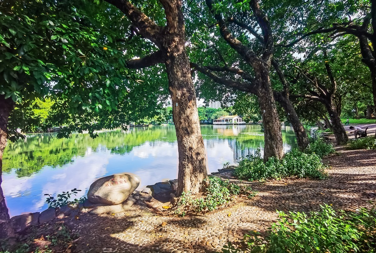 深圳荔枝公园掠影