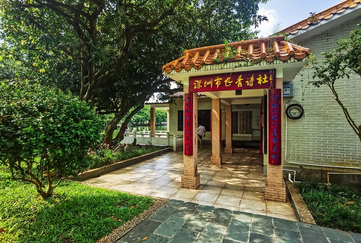 深圳荔枝公园掠影