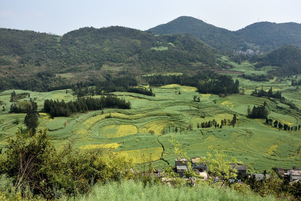 罗平螺丝田——贺好友一泓清泉荣任自然风景星空(中国)版主