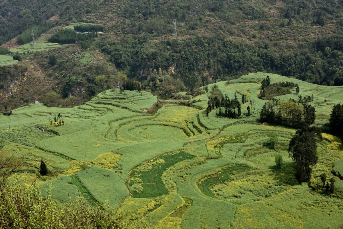 罗平螺丝田——贺好友一泓清泉荣任自然风景星空(中国)版主