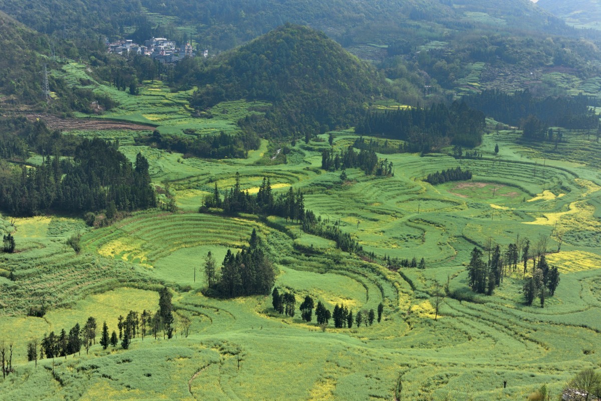 罗平螺丝田——贺好友一泓清泉荣任自然风景星空(中国)版主