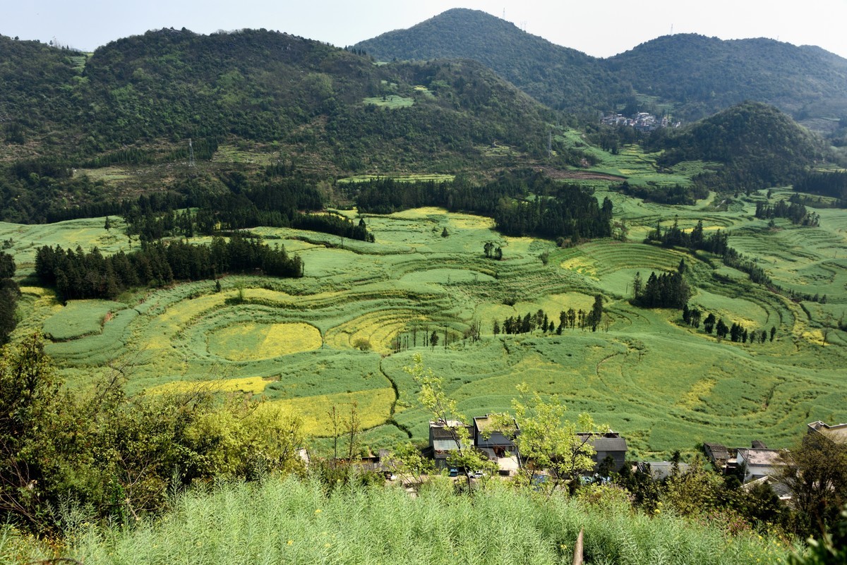 罗平螺丝田——贺好友一泓清泉荣任自然风景星空(中国)版主