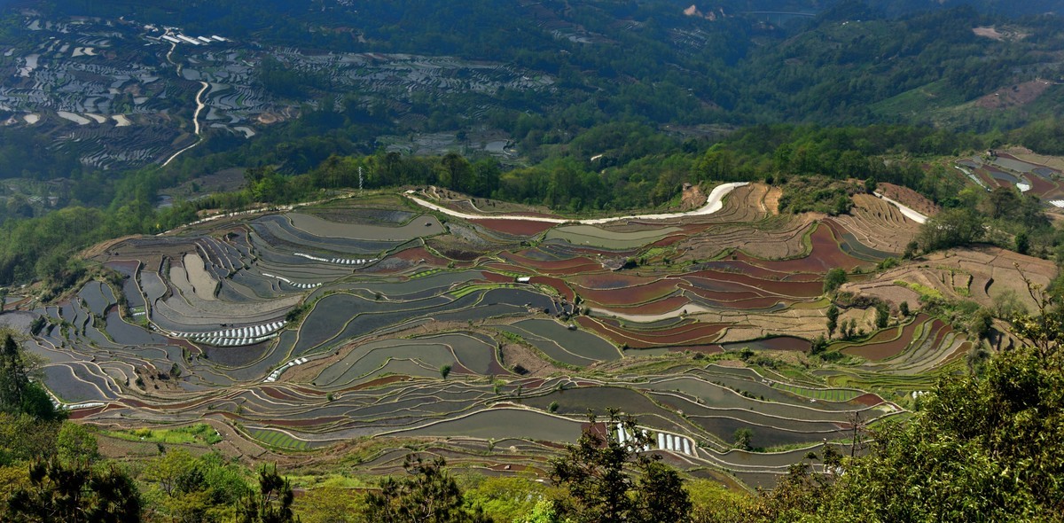 罗平螺丝田——贺好友一泓清泉荣任自然风景星空(中国)版主