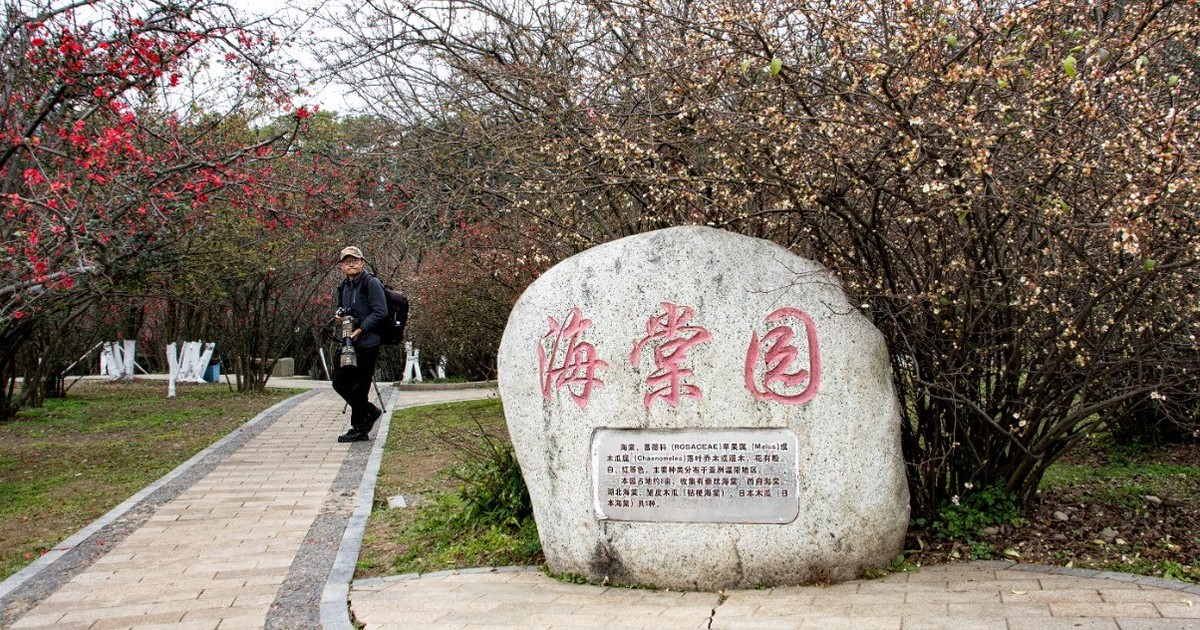 2025.2.26，游成都植物园3。