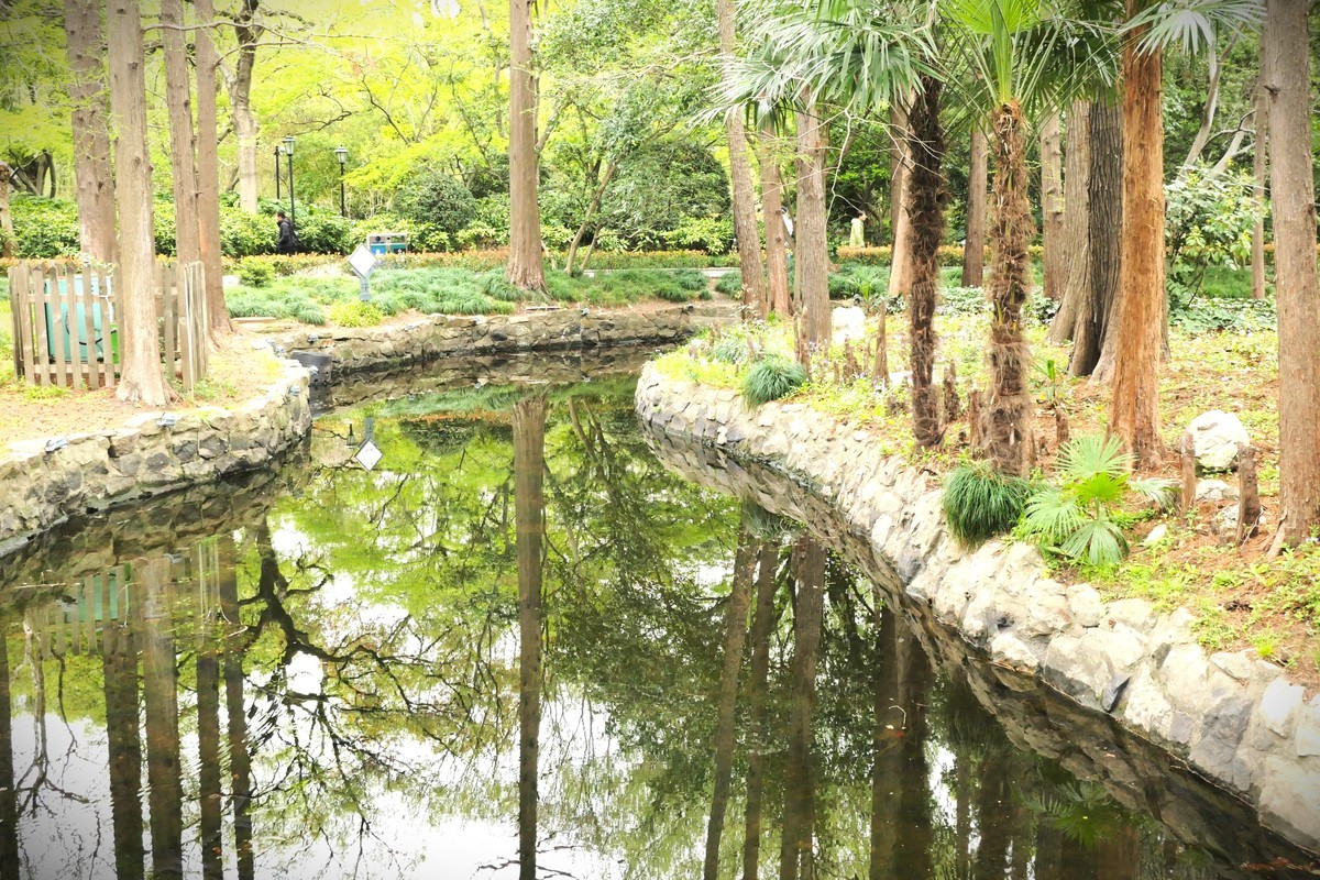 【上海中山公园春景】