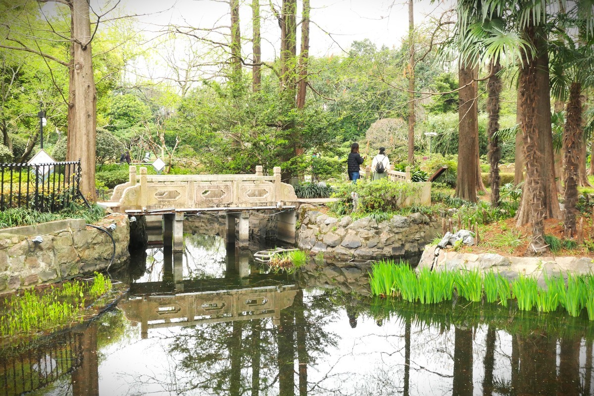 【上海中山公园春景】