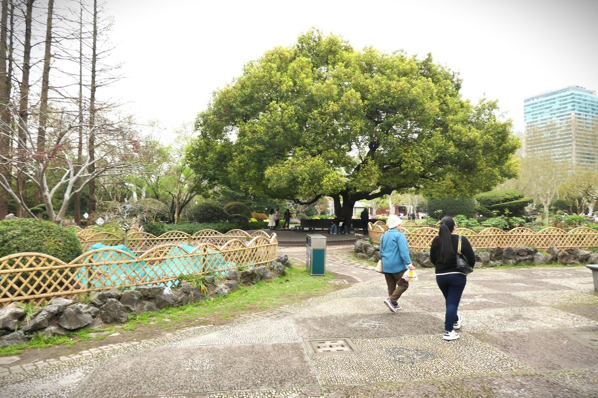 【上海中山公园春景】