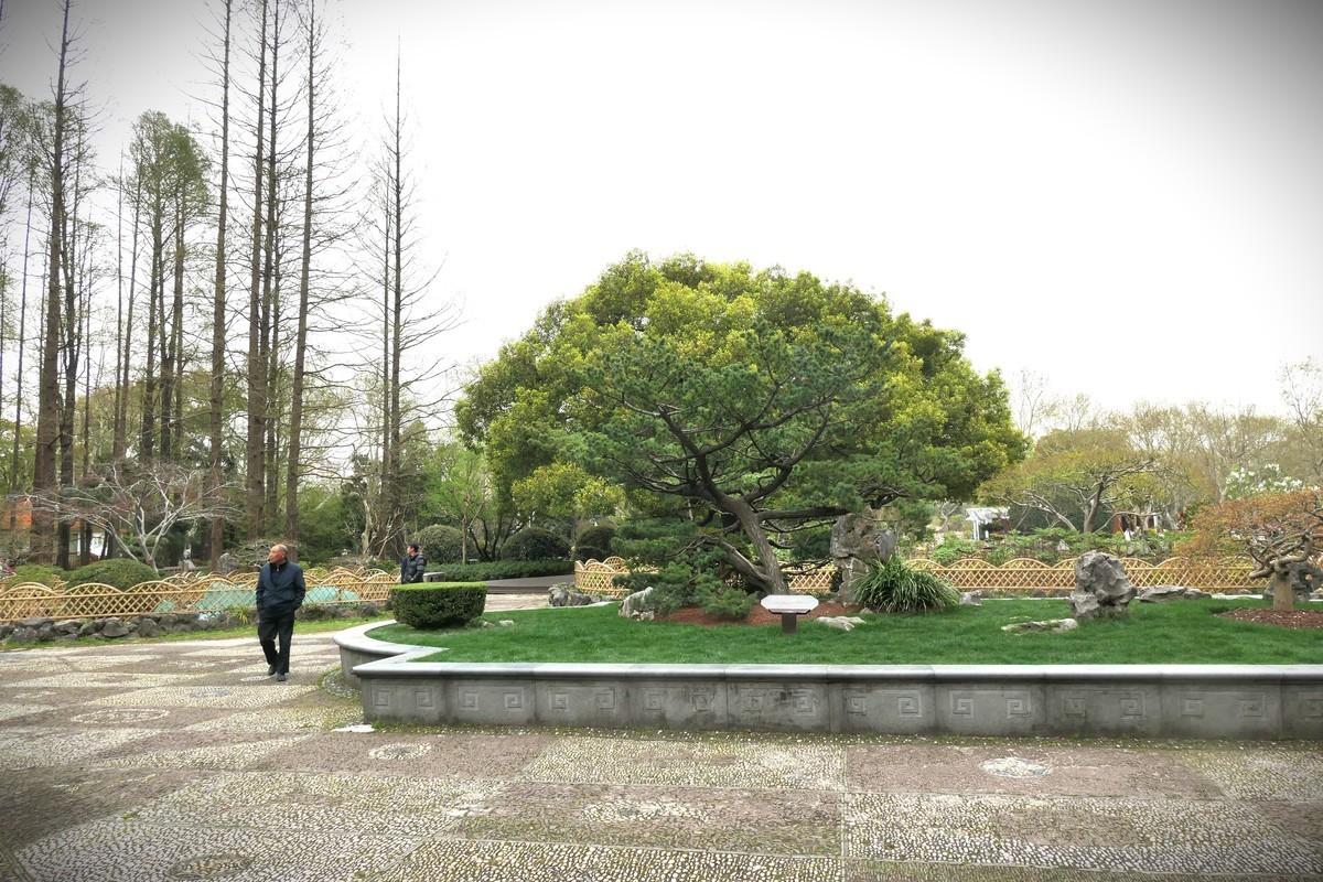 【上海中山公园春景】