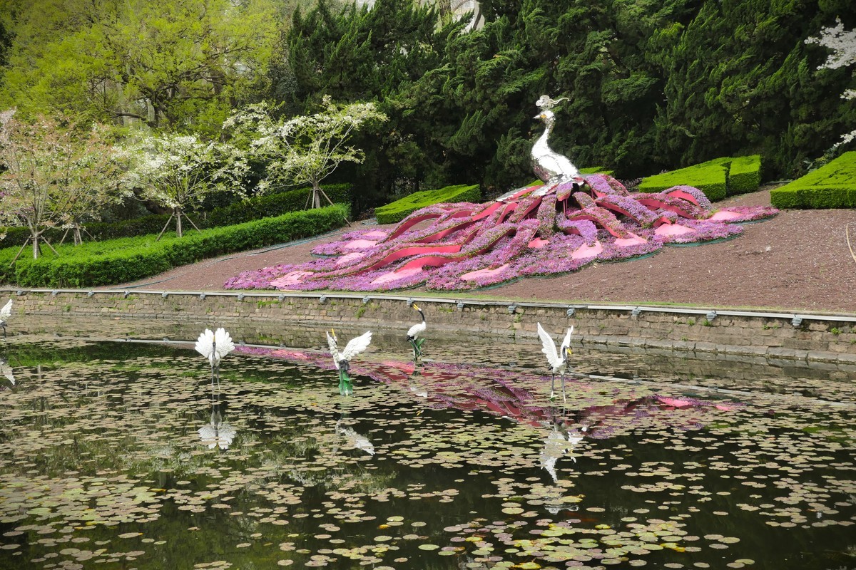 【上海中山公园春景】
