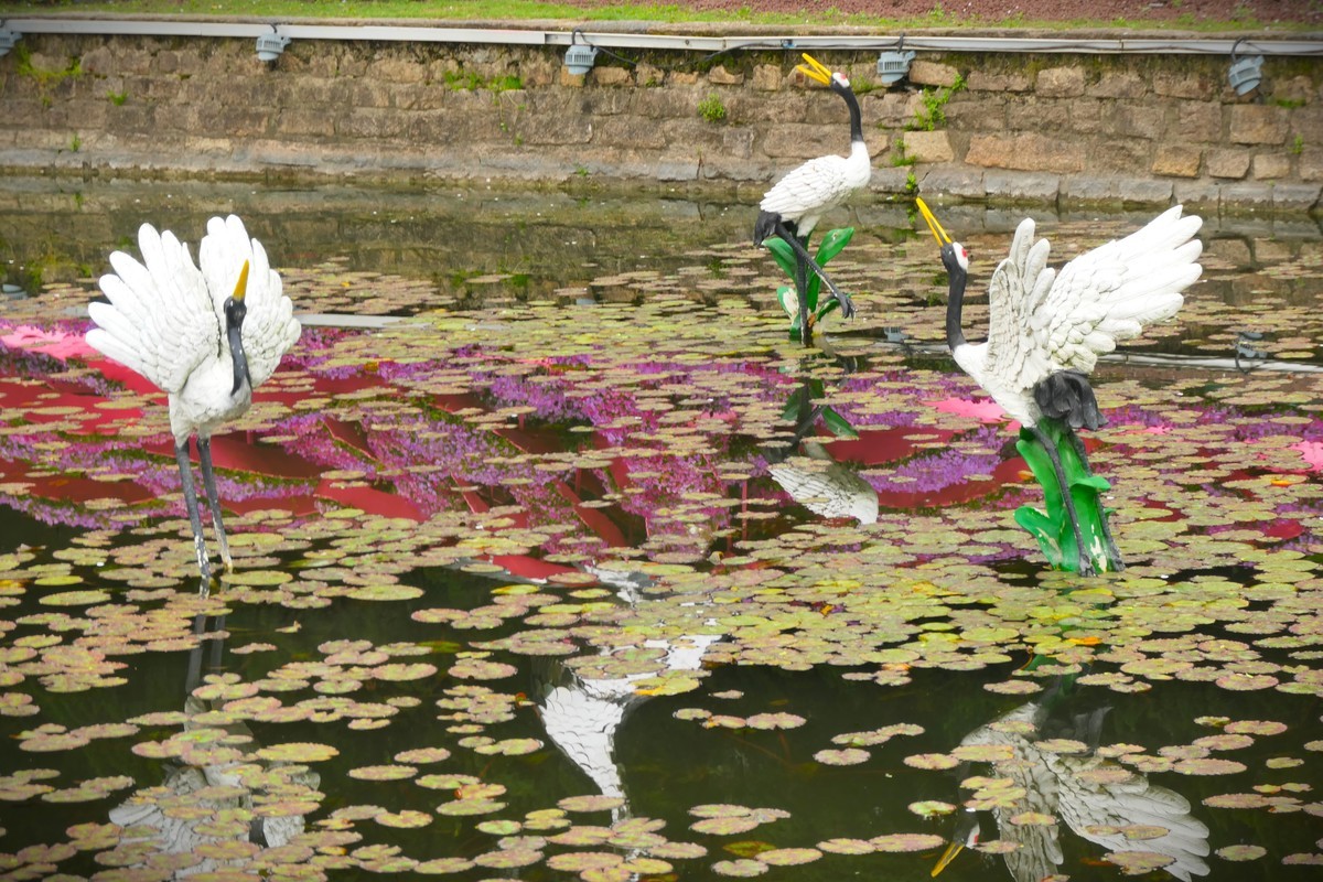 【上海中山公园春景】