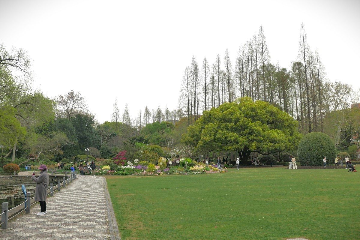 【上海中山公园春景】