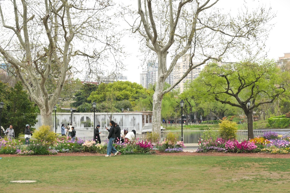 【上海中山公园春景】