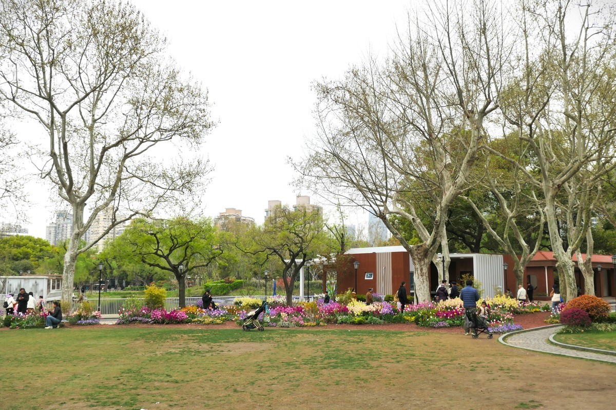 【上海中山公园春景】