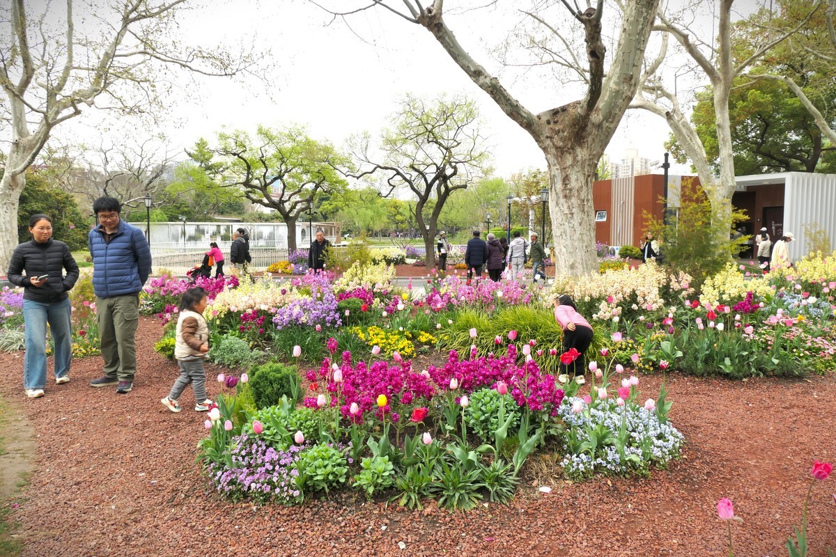 【上海中山公园春景】