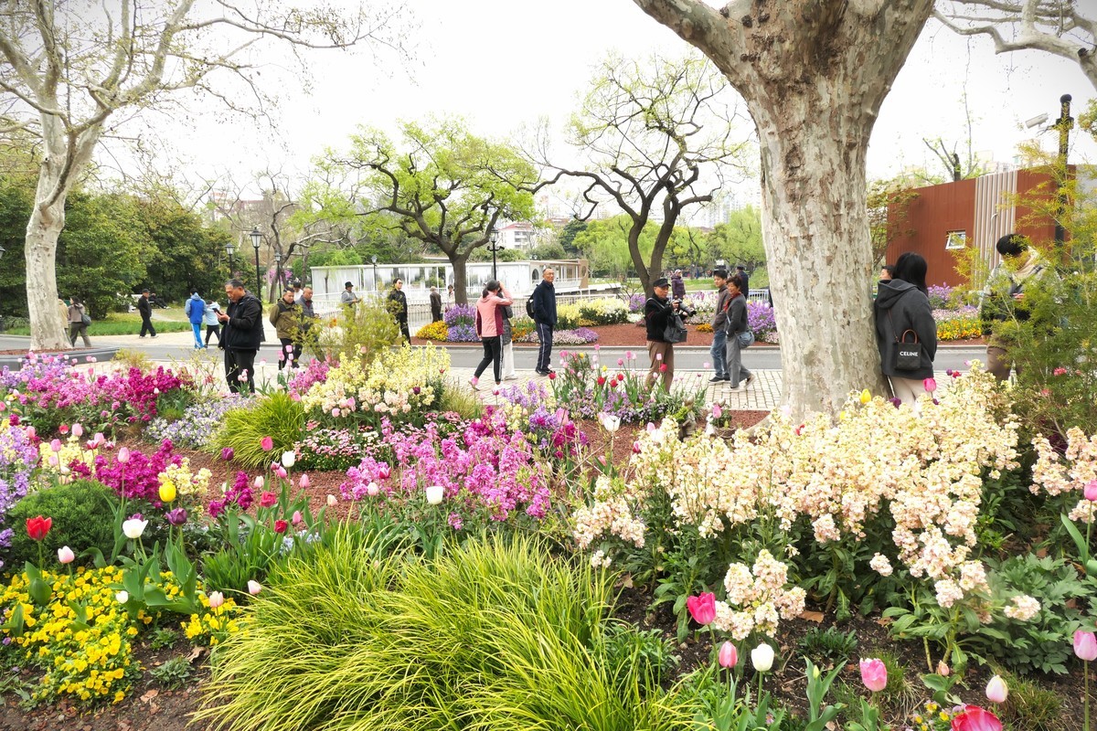 【上海中山公园春景】