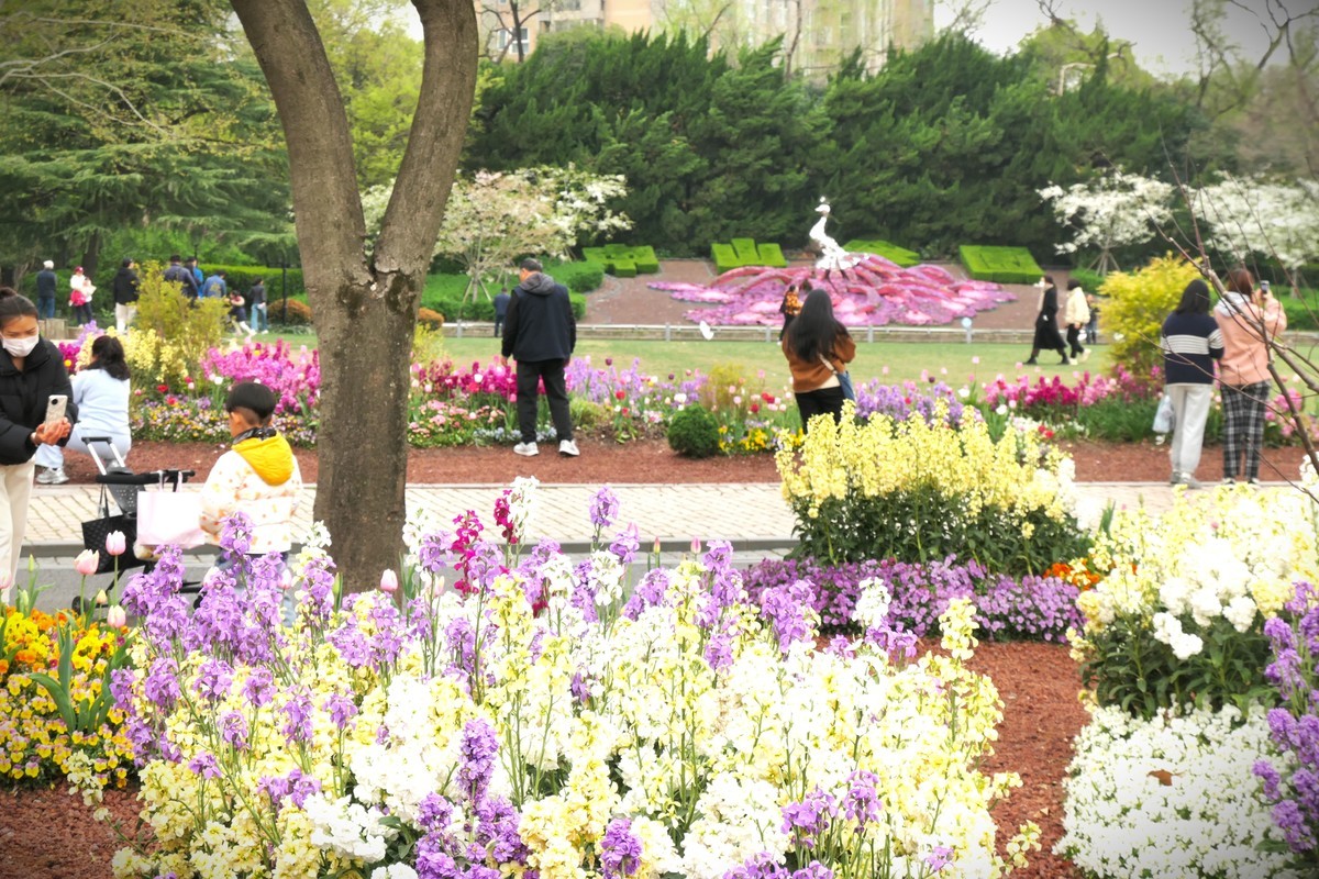 【上海中山公园春景】