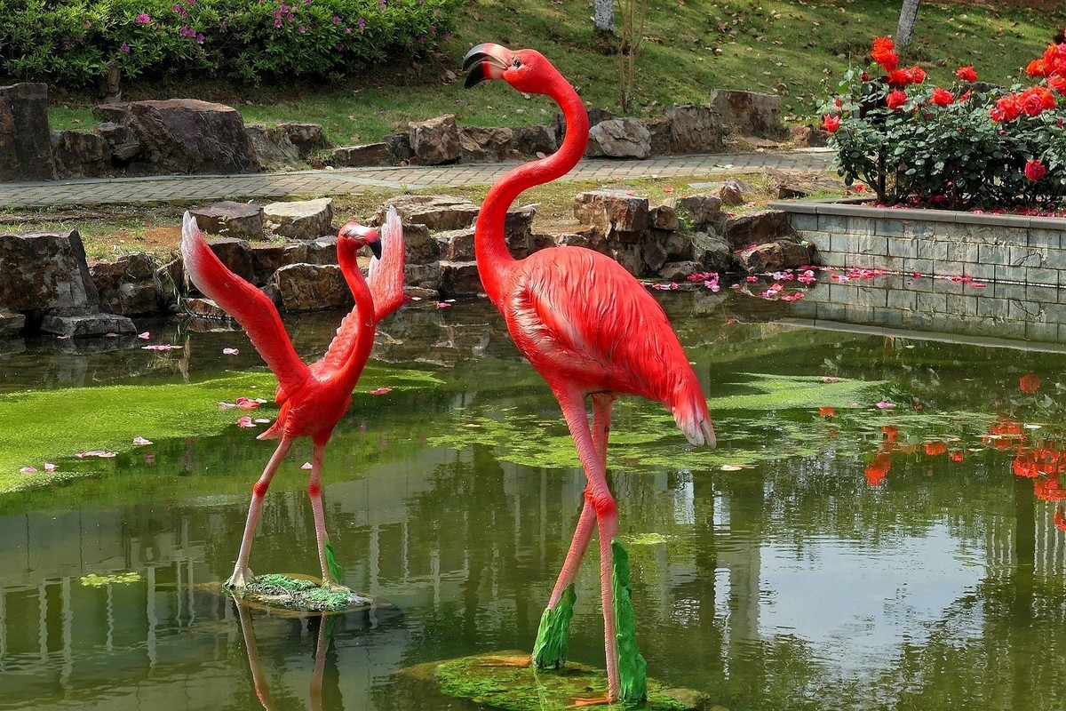 莱卡相机试机帖