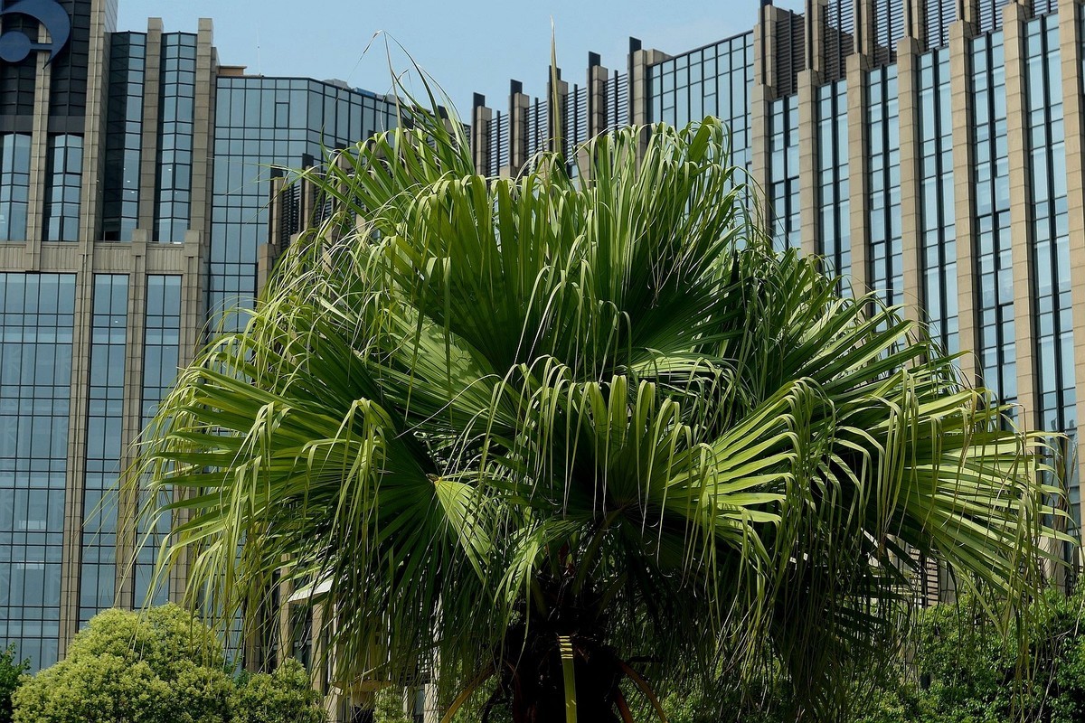 莱卡相机试机帖