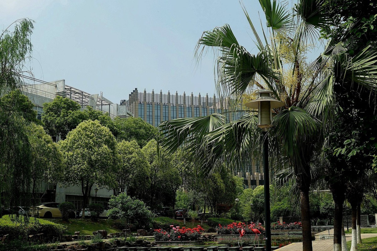 莱卡相机试机帖