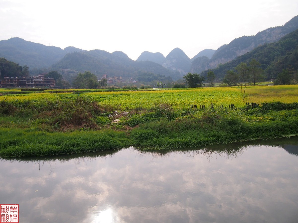 2023.12.22坝道美随拍（5）