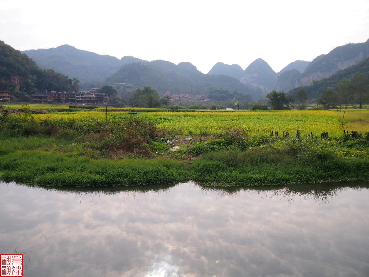 2023.12.22坝道美随拍（5）