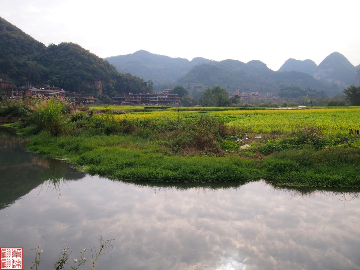 2023.12.22坝道美随拍（5）