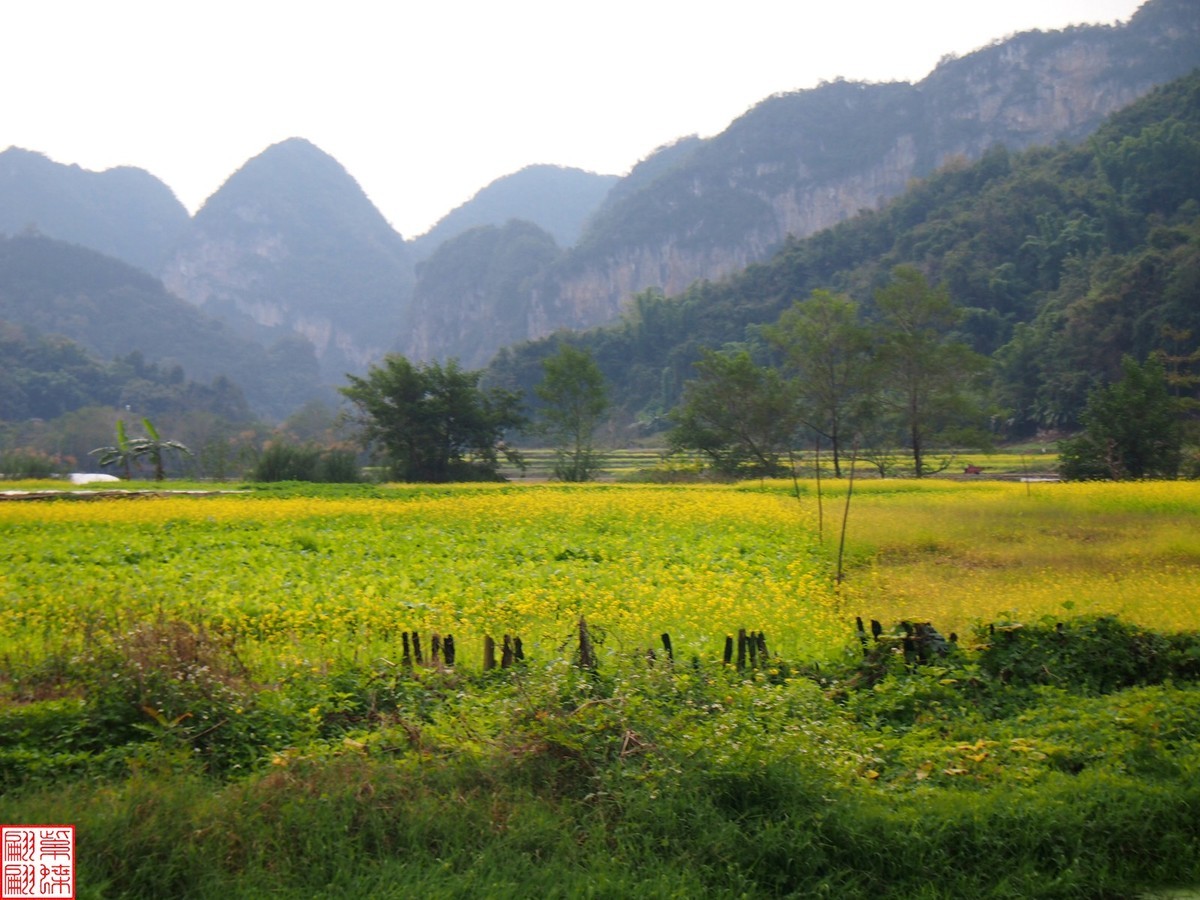 2023.12.22坝道美随拍（5）