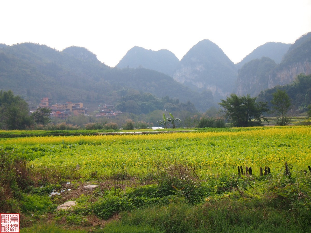 2023.12.22坝道美随拍（5）