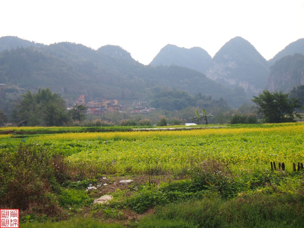 2023.12.22坝道美随拍（5）