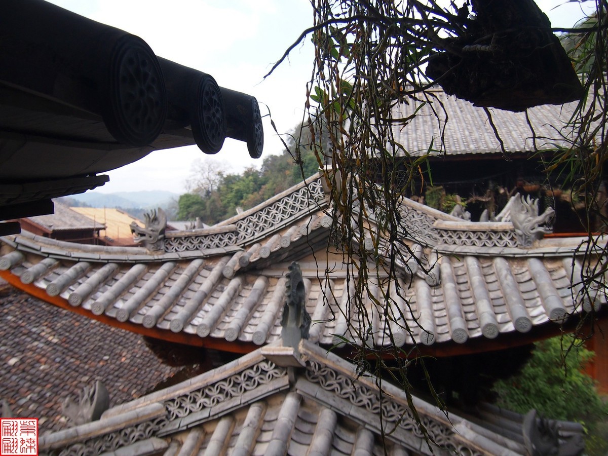 2023.12.21仙草秘境(11）