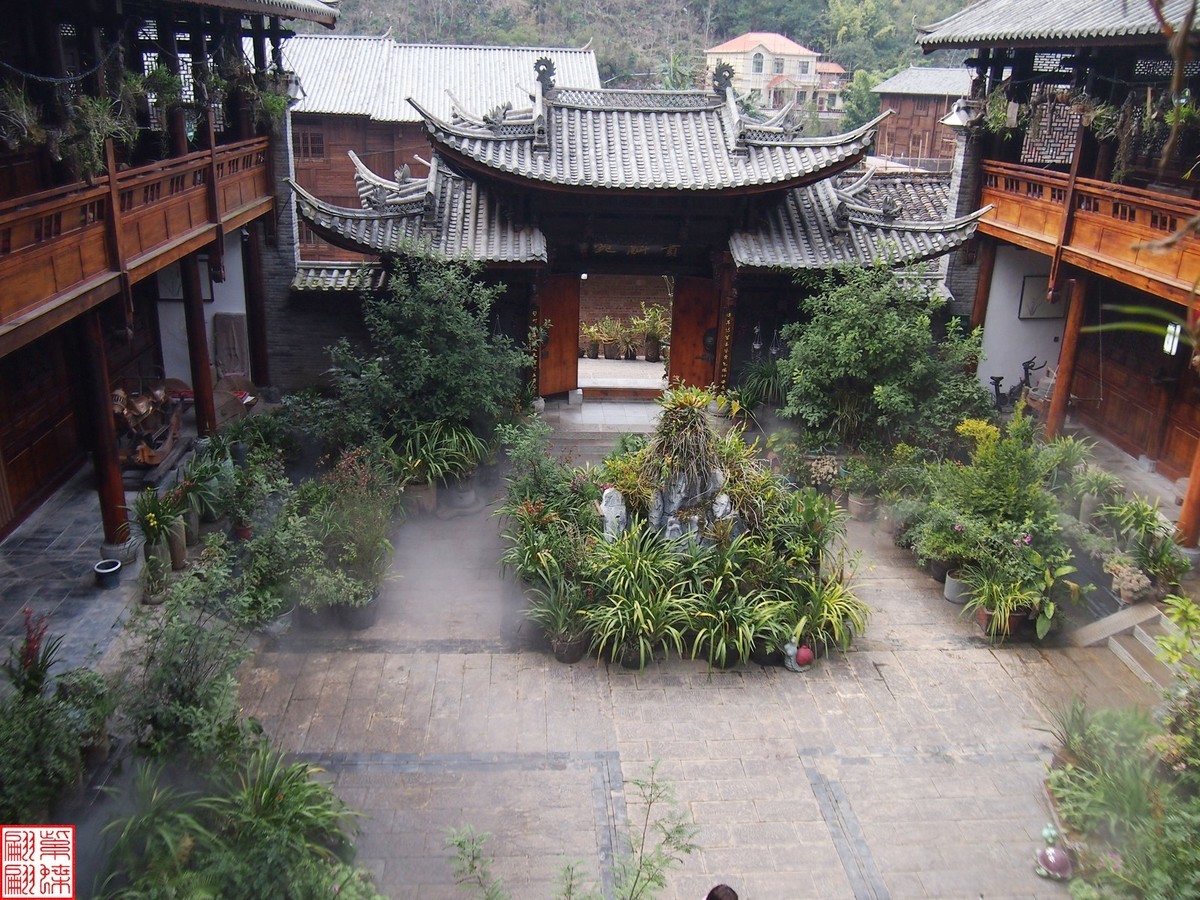 2023.12.21仙草秘境(11）