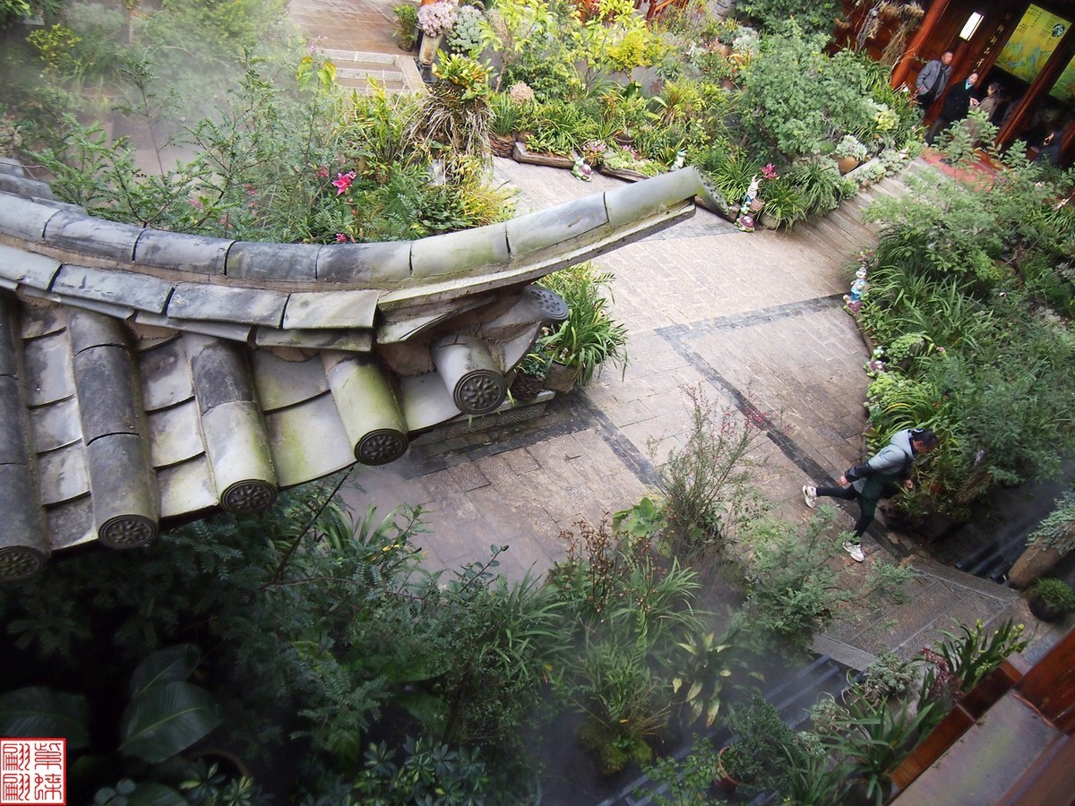 2023.12.21仙草秘境(11）