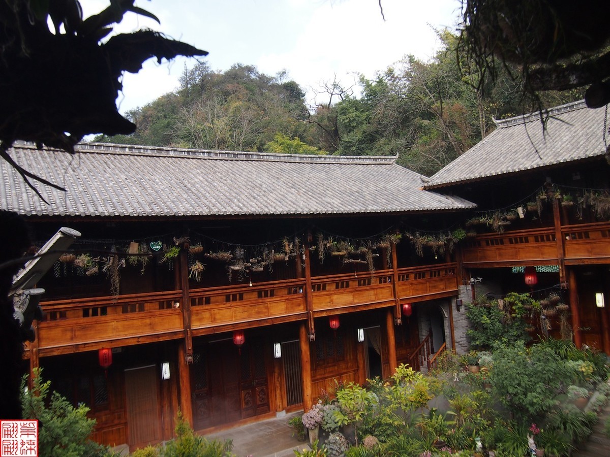 2023.12.21仙草秘境(11）