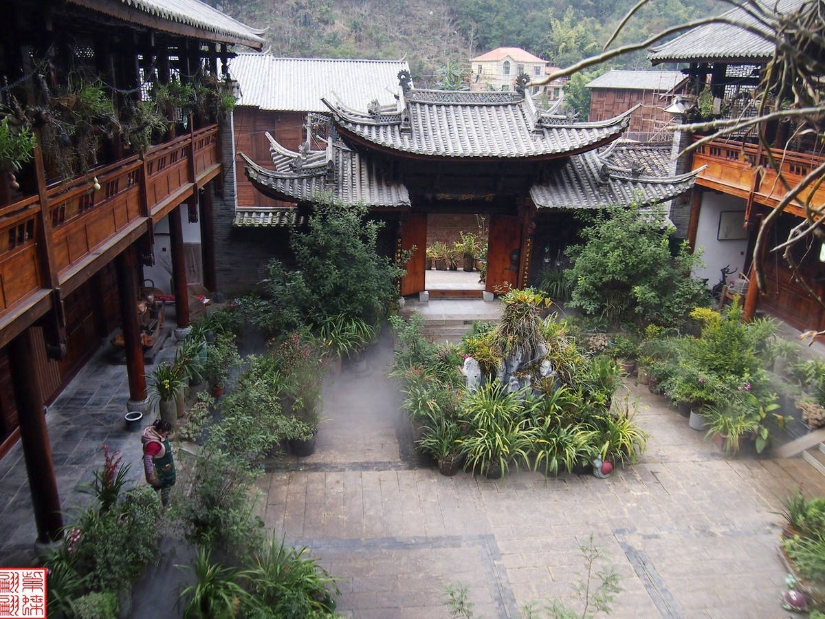 2023.12.21仙草秘境(11）