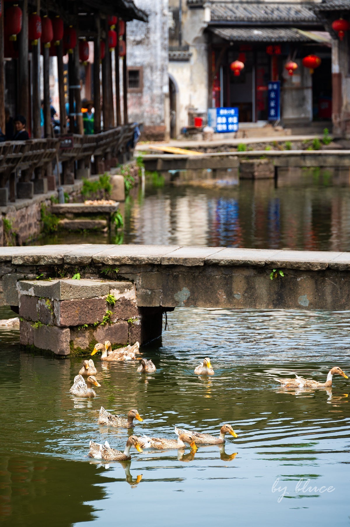 唐模古村（六）----完