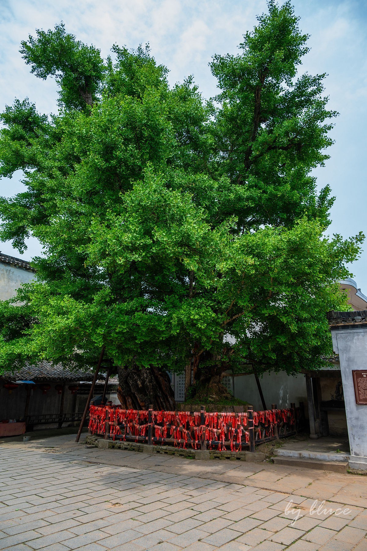 唐模古村（六）----完