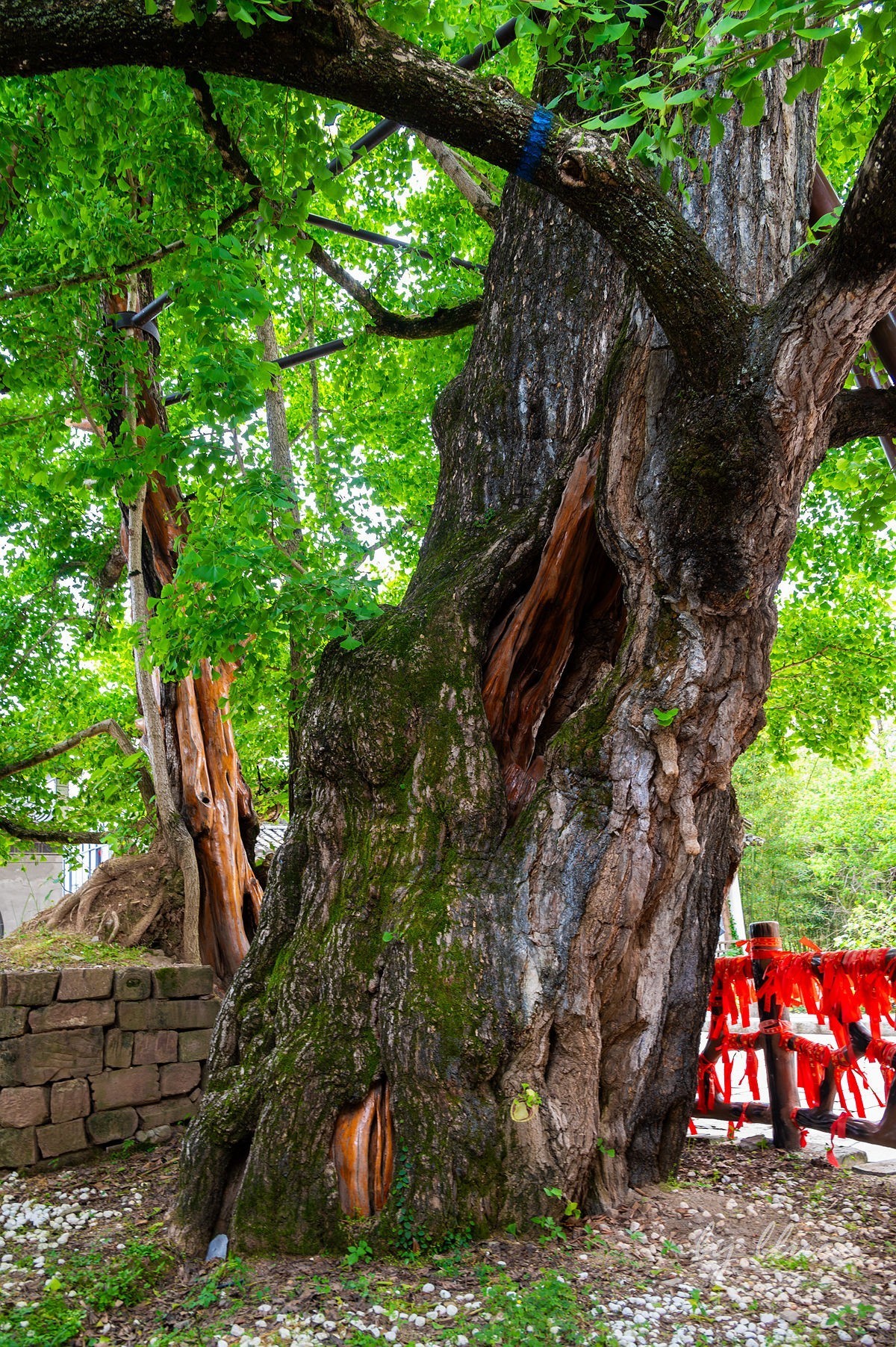 唐模古村（六）----完