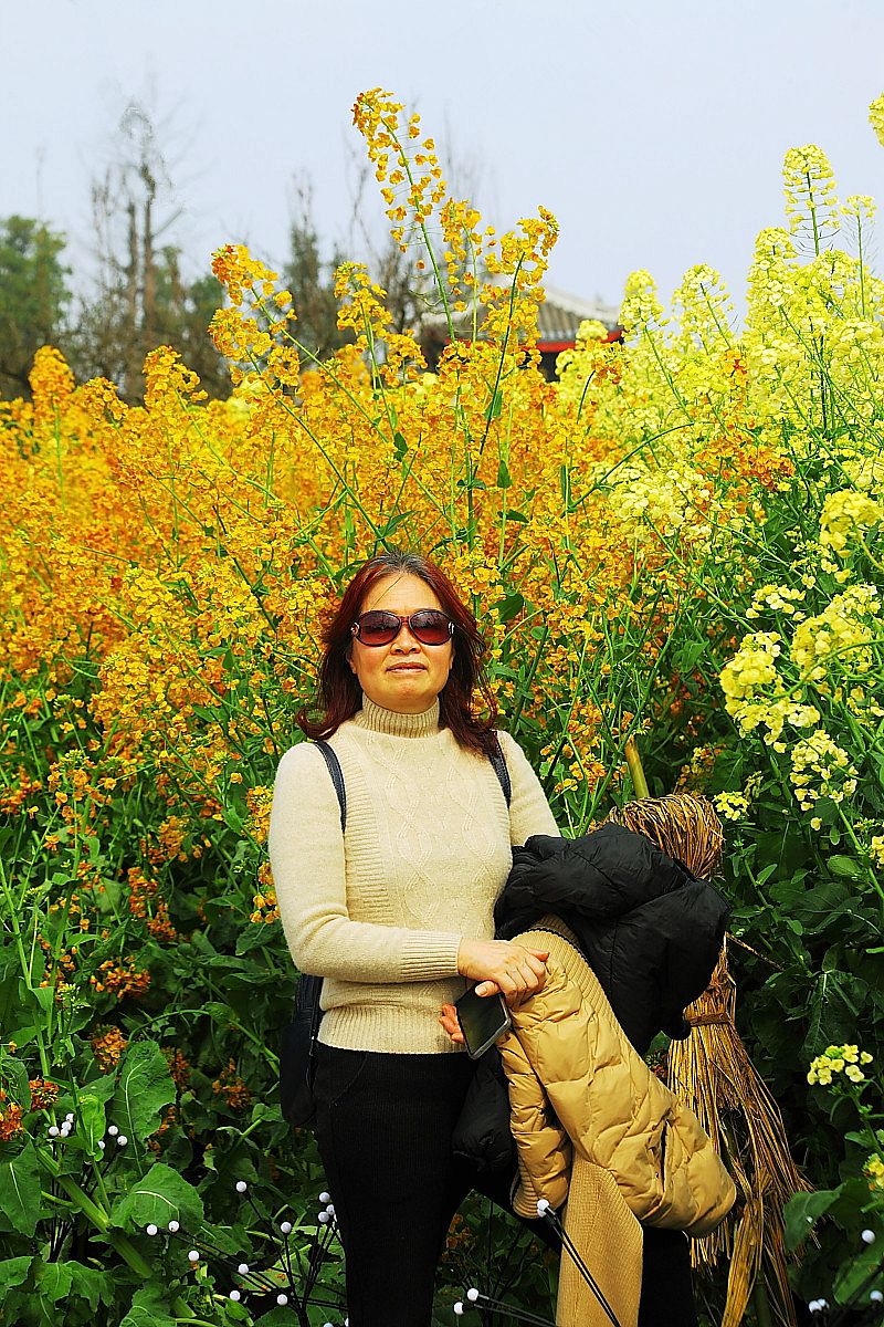 长江第一城——宜宾（十一）