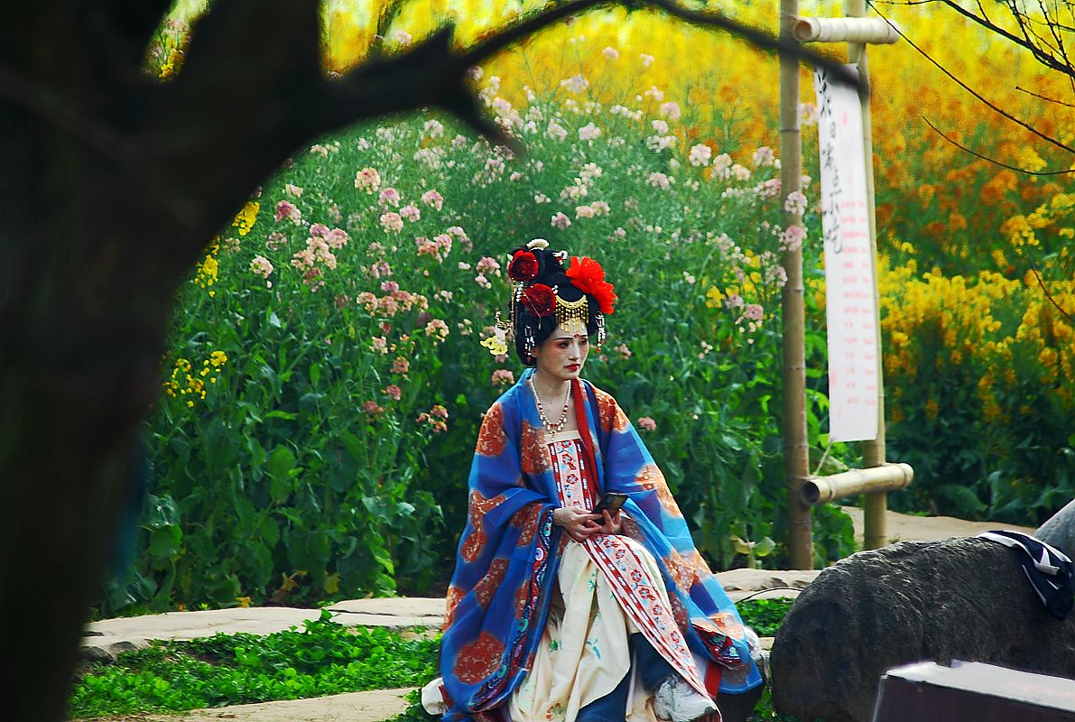 长江第一城——宜宾（十一）