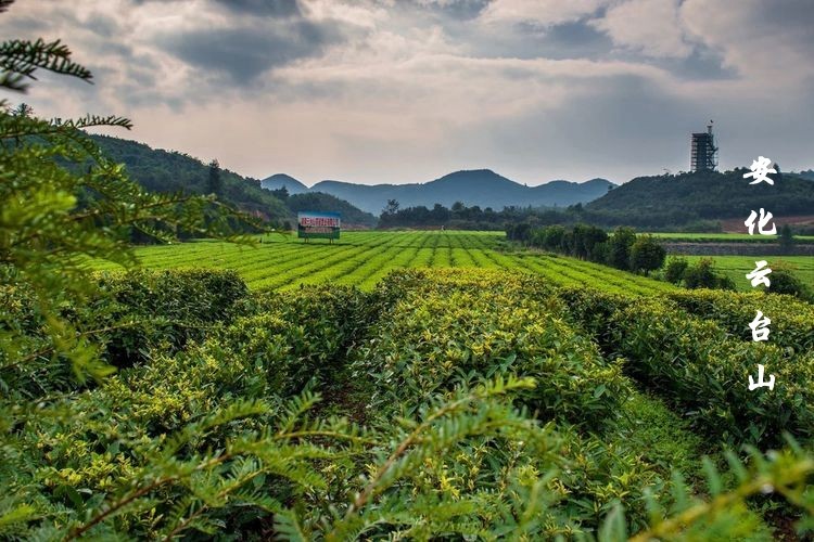 云台山风景区第五届电音泡沫节，三天两晚安化之旅
