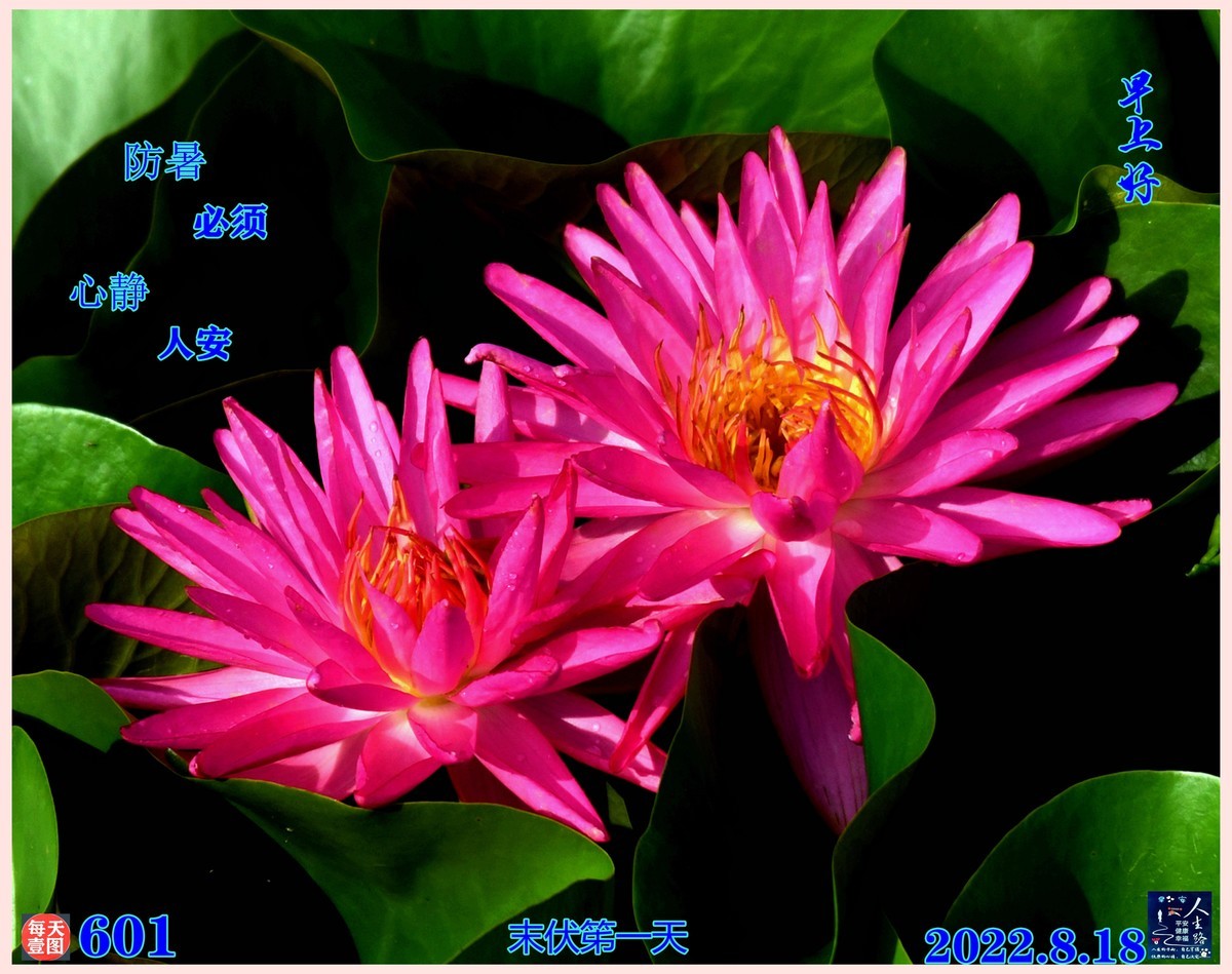 习作摄影后期 [每日一图601/610]