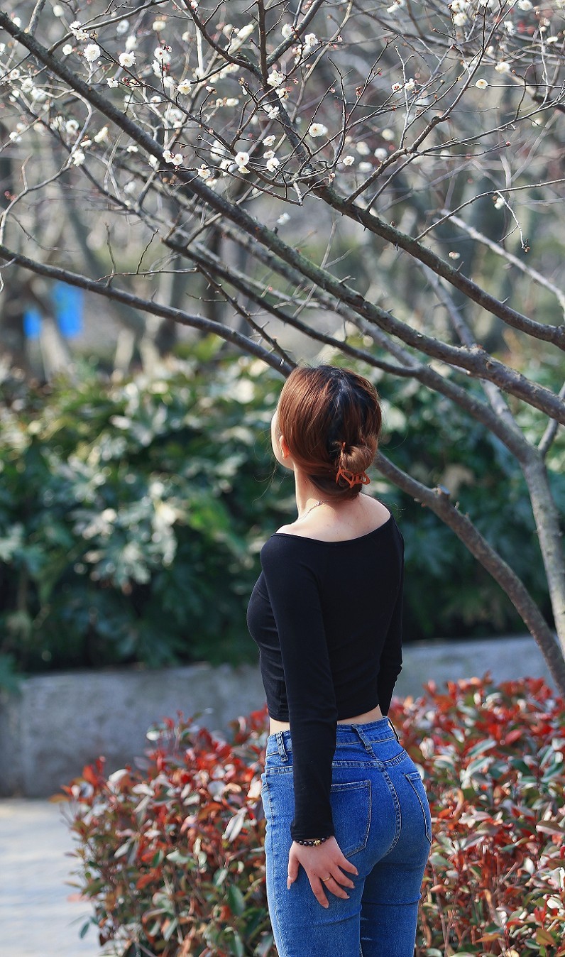 万分激动迎春帖改技术贴《春天梅花迎春花还有鸟和大妹妹》憋了三天终于上来了！